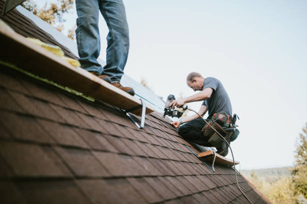 Professional Roofing Contractor in Chuluota, FL